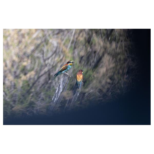 PHOTO84, CLUB, 84 , LUBERON